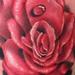 Tattoos - ROSE DROPLET - 63489